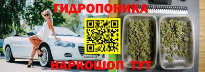 Альфа ПВП Тулун