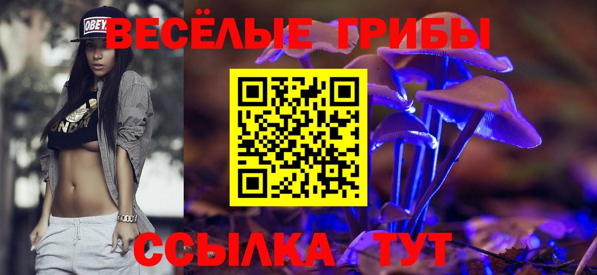 Псилоцибиновые грибы Psilocybine cubensis Алейск